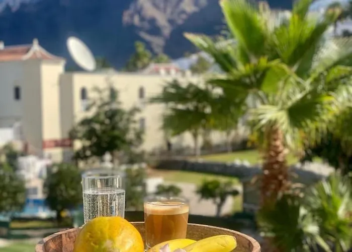 Hibisco * Puerto de Santiago (Tenerife)
